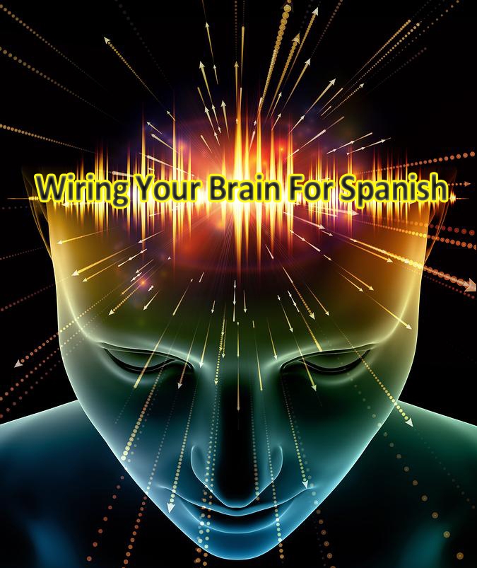 WiringyourbrainforSpanish2 Synergy Spanish Systems